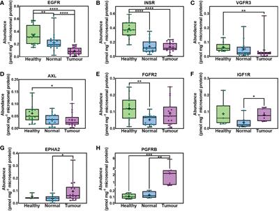 Proteomic quantification of receptor tyrosine kinases involved in the development and progression of colorectal cancer liver metastasis